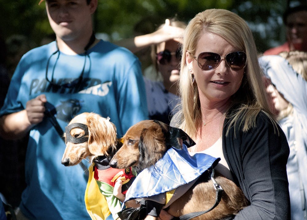 Tiffany Mabe-Bernard holds the winners of the Carborro Wiener Dog Day costume contest--Batman and Robin.