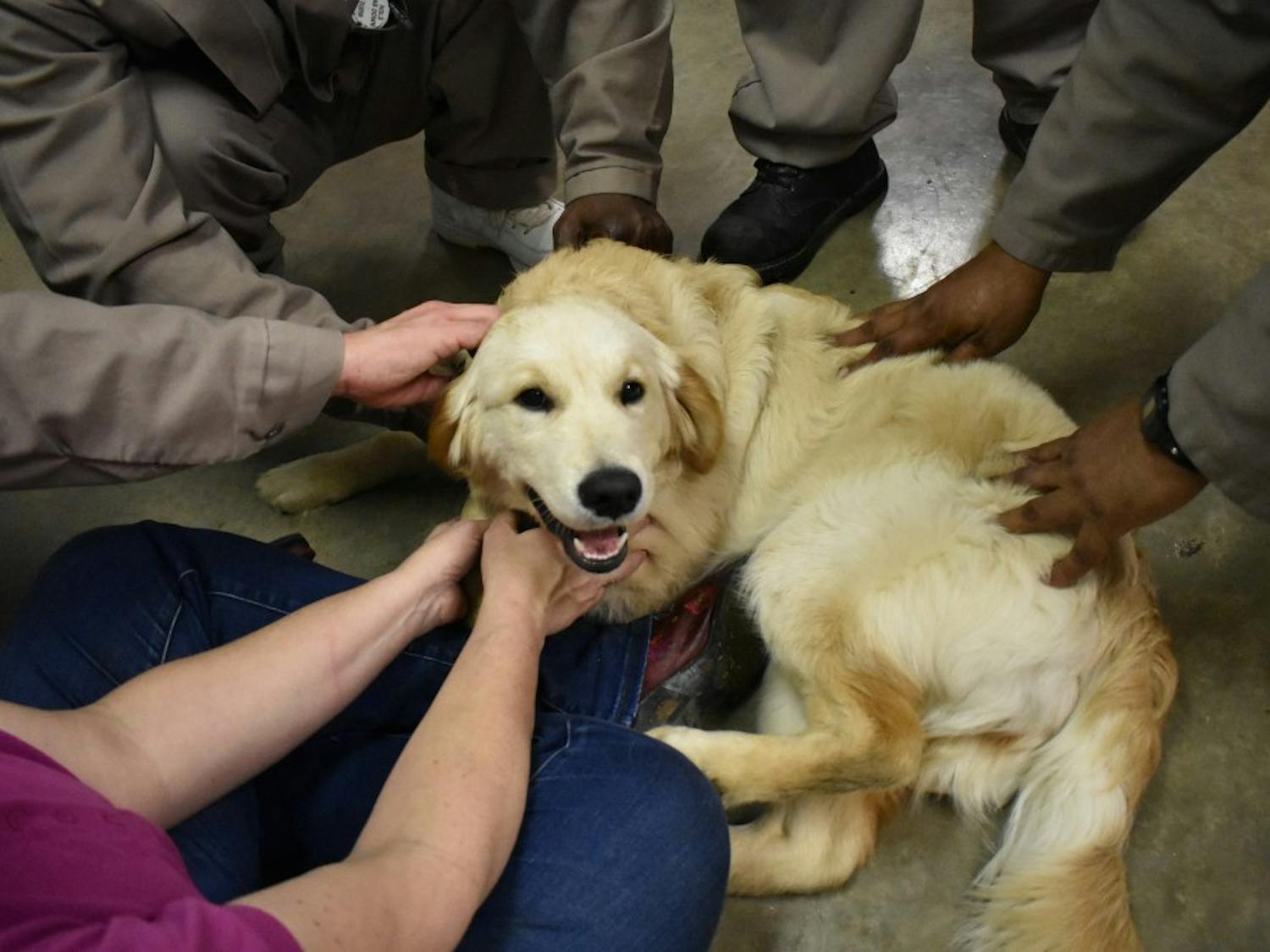 Prisoners, puppies and a purpose: N.C. inmates train service dogs