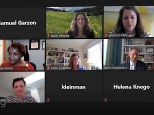 Screenshot from the Faculty Advisory Committee meeting on Thursday, March 25, 2021.&nbsp;