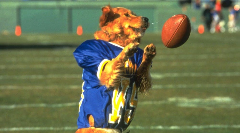 "Air Bud" may be the best sports movie of all timePhoto taken from&nbsp;Sports Illustrated