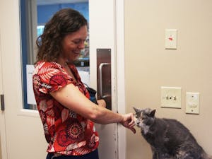Laura Griest, the executive director of Paws4Ever, pets one of the non-profit's cats, Fajita, as she leads a tour of the compound. 