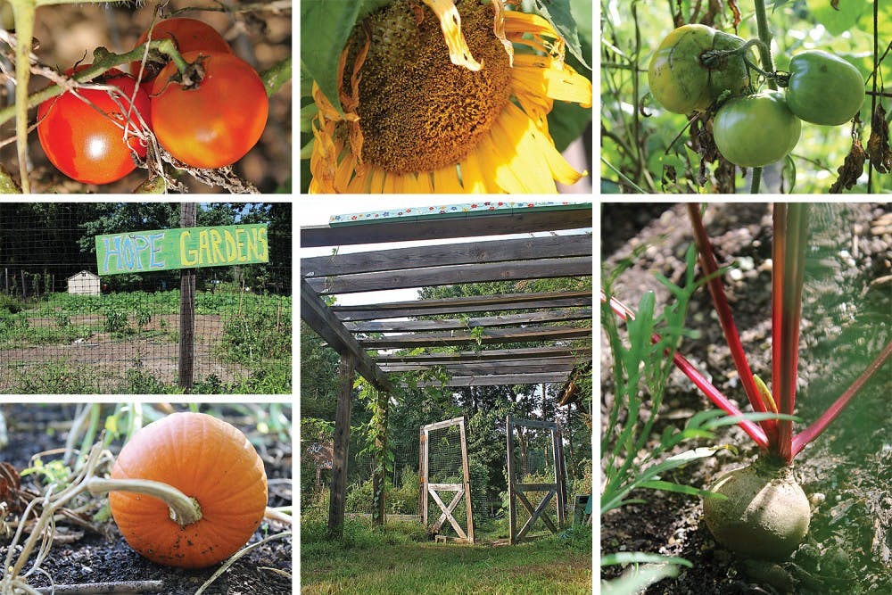 HOPE Gardens uses organic methods in agriculture to grow produce in vegetable plots and herb gardens. The land is owned by the town of Chapel Hill and the produce is for members of the community, including homeless and low-income people.
