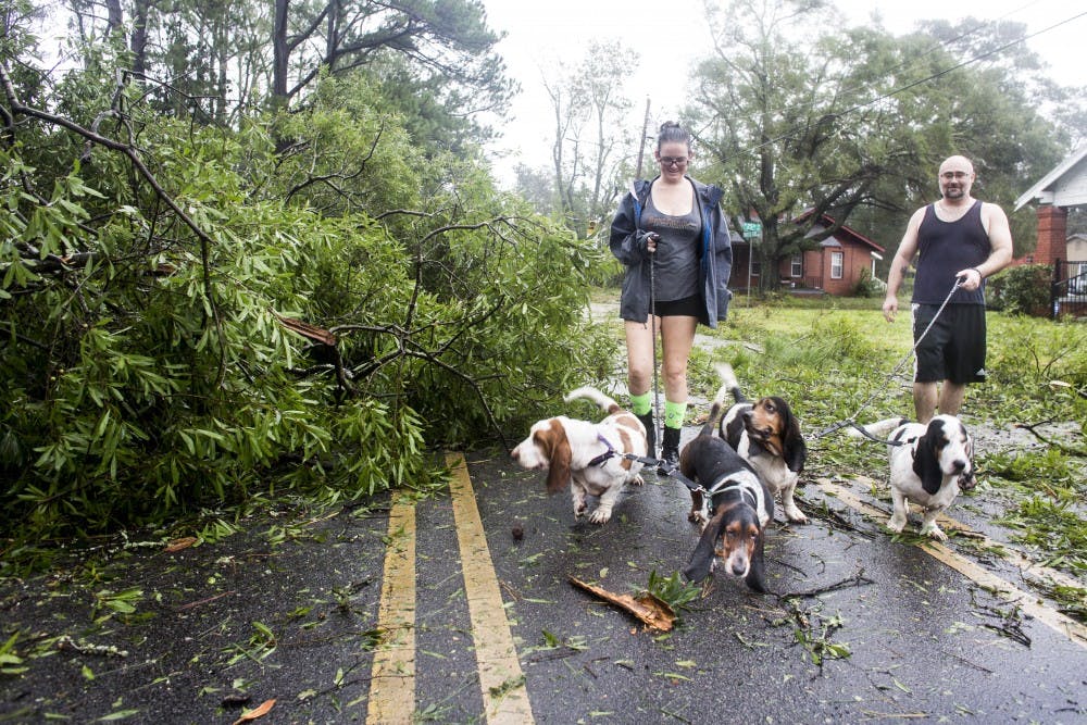 hurricane florence dogs