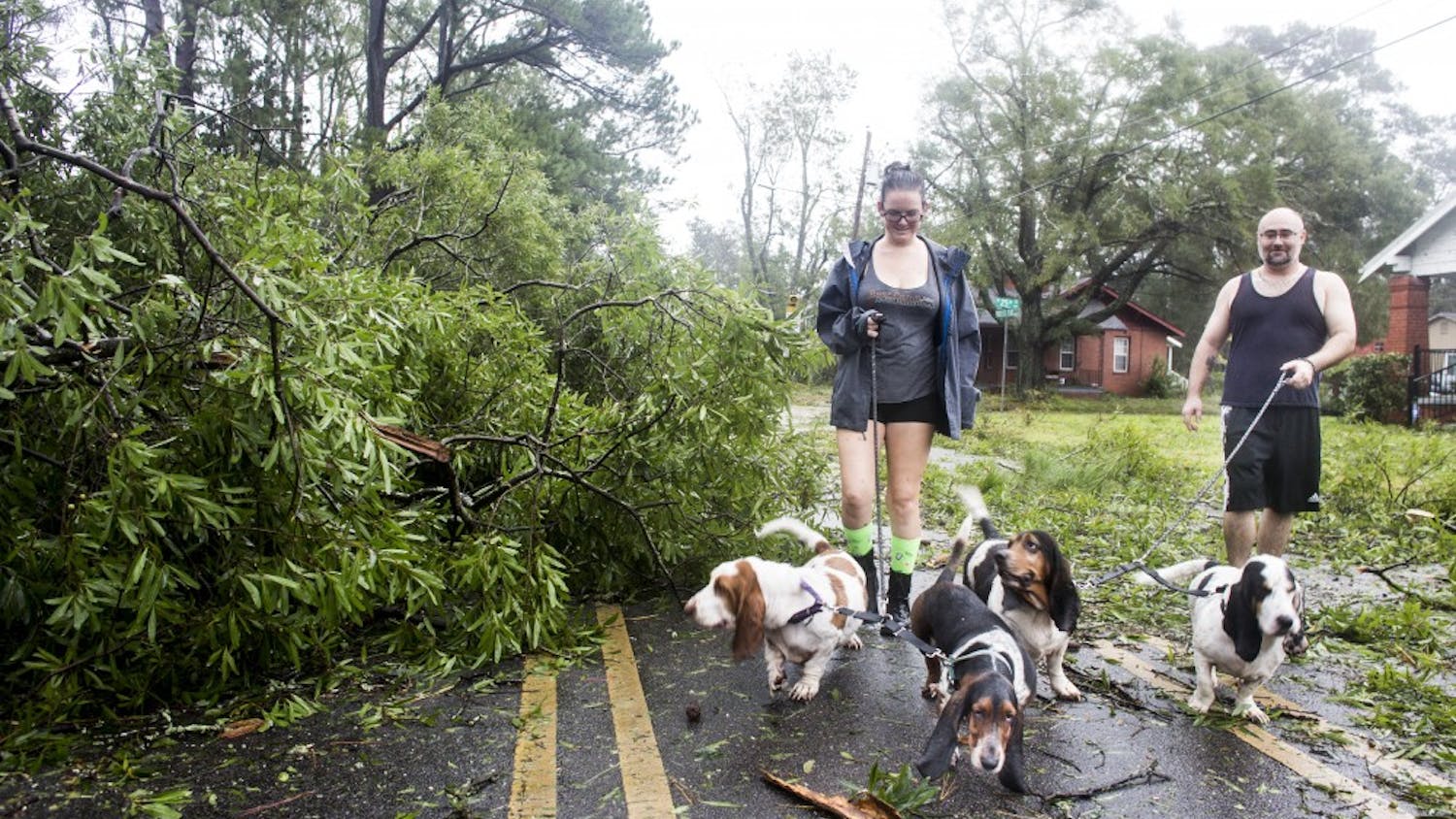 hurricane florence dogs
