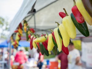 Chapel Hill's 11th annual Pepper Festival will be on Sunday Sept. 23. Photo courtesy of Tami Schwerin. 