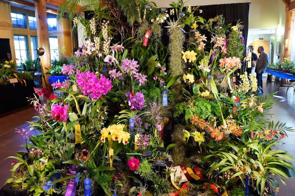 The Orchid Show