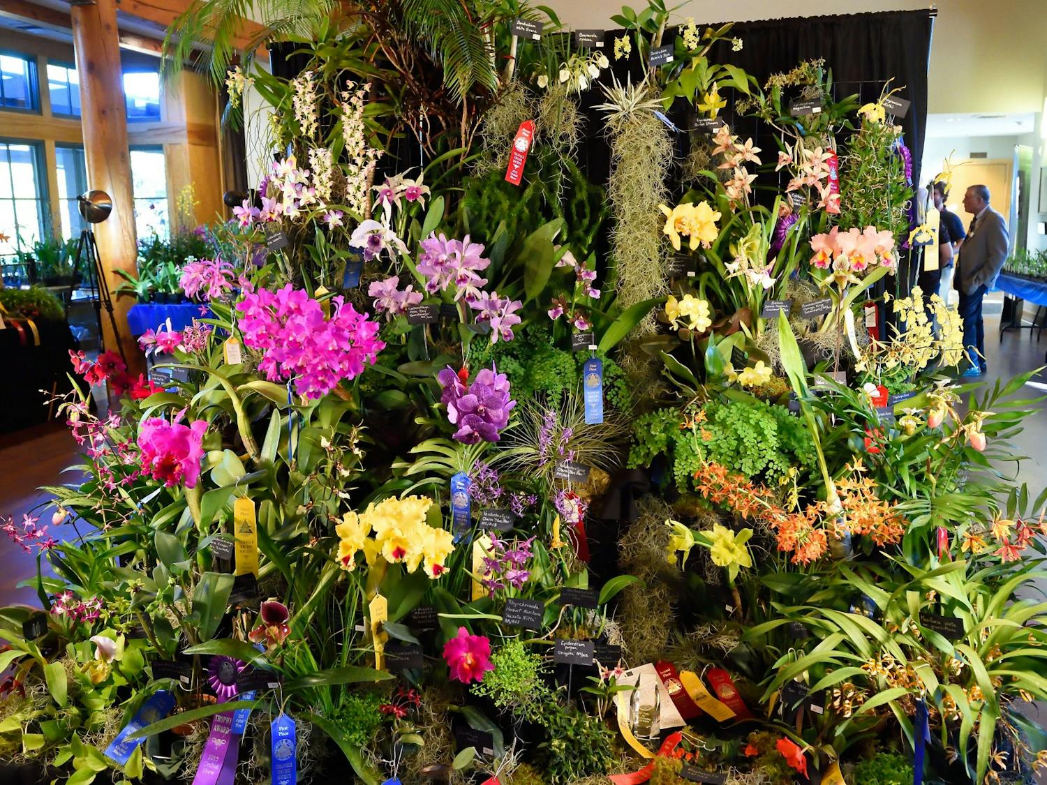 The Triangle Orchid Society competing at an orchid show. Photo courtesy of Chris and Don MacAskill.