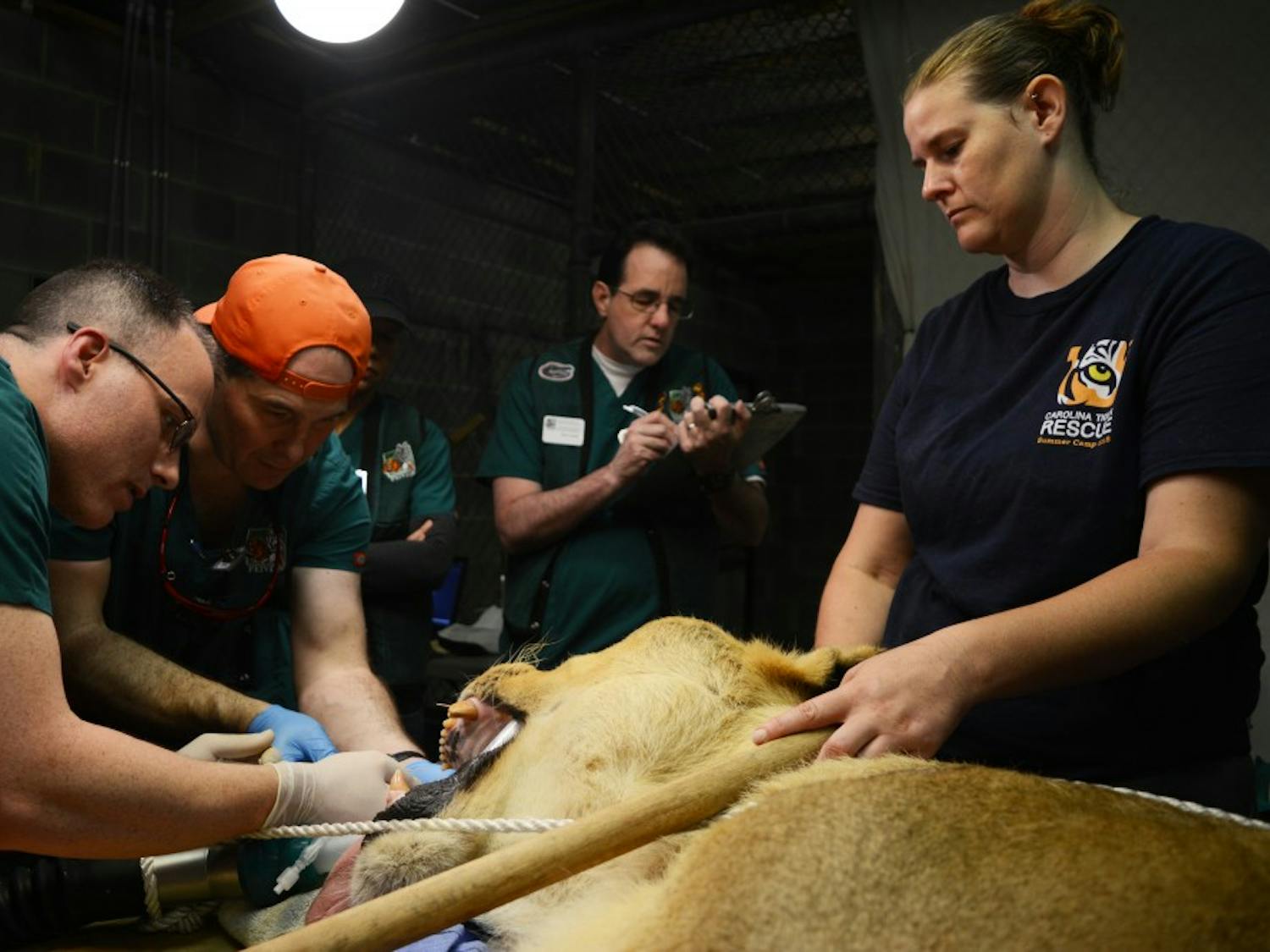 Sebastian's teeth are worked on by expert volunteer veterinarians during a two-day visit from the Colorado-based Peter Emily International Veterinary Dental Foundation. 