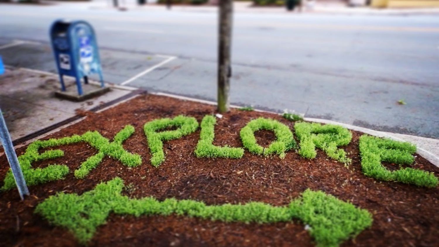 Artist Carter Hubbard created natural art on sidewalks in Chapel Hill.&nbsp;Photo Courtesy of Carter&nbsp;Hubbard.