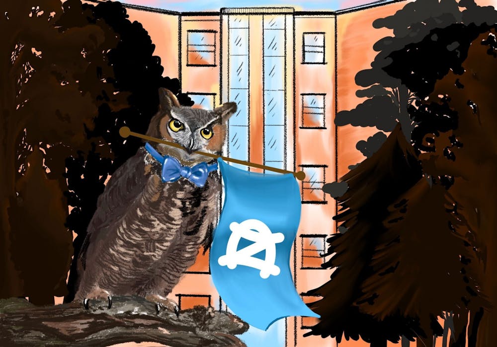 opinion-leave-the-owl-alone.jpg