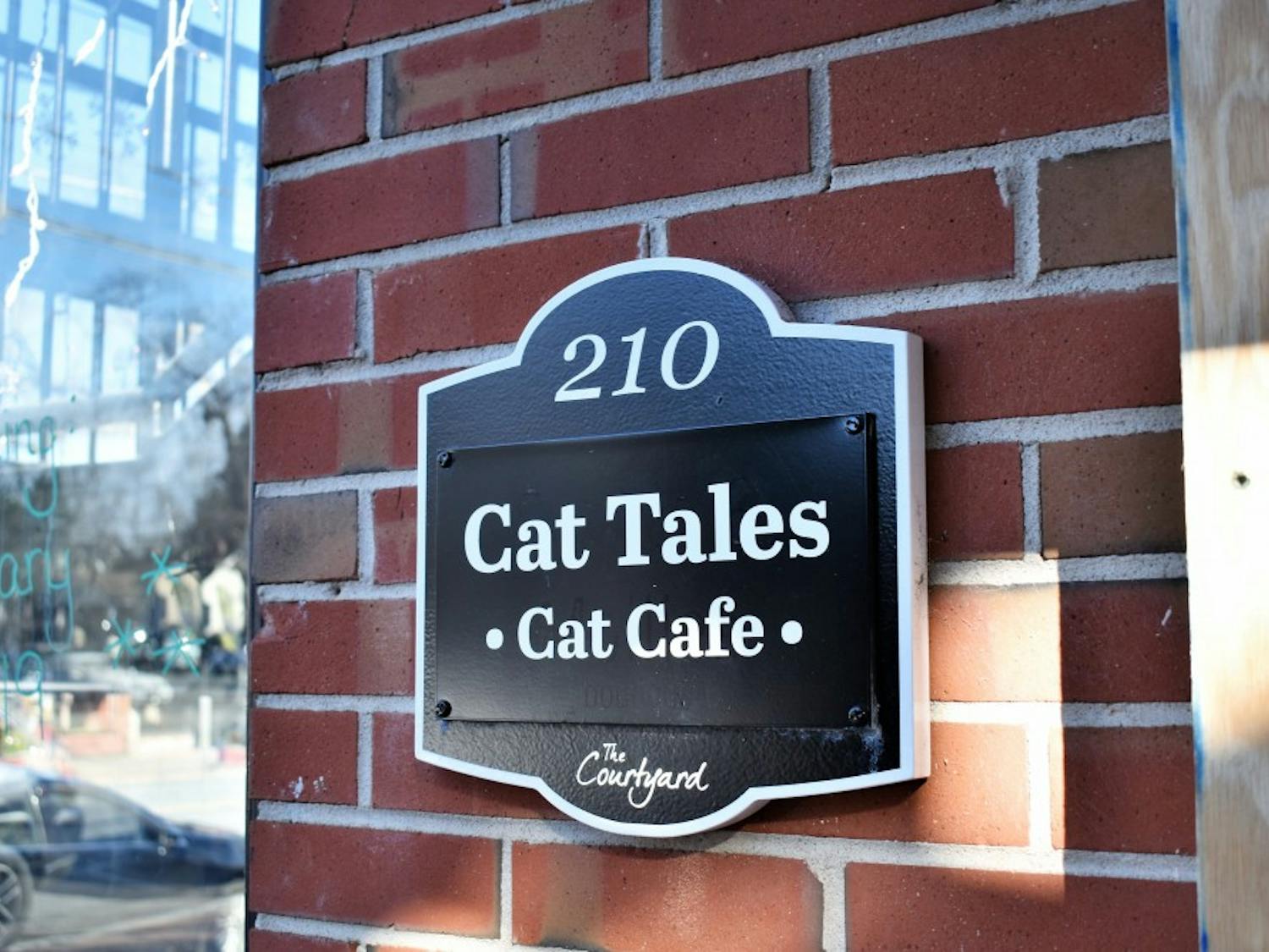 Cat Cafe 