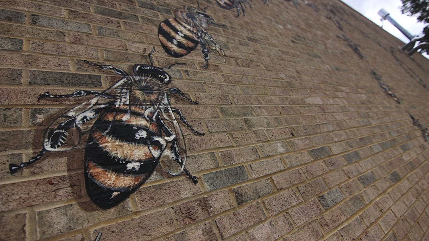 This mural of bumblebees, located on an outer wall of the Carrboro Fire Department, was painted by Matthew Wiley in an effort to paint 50,000 bees on murals throughout the world. 