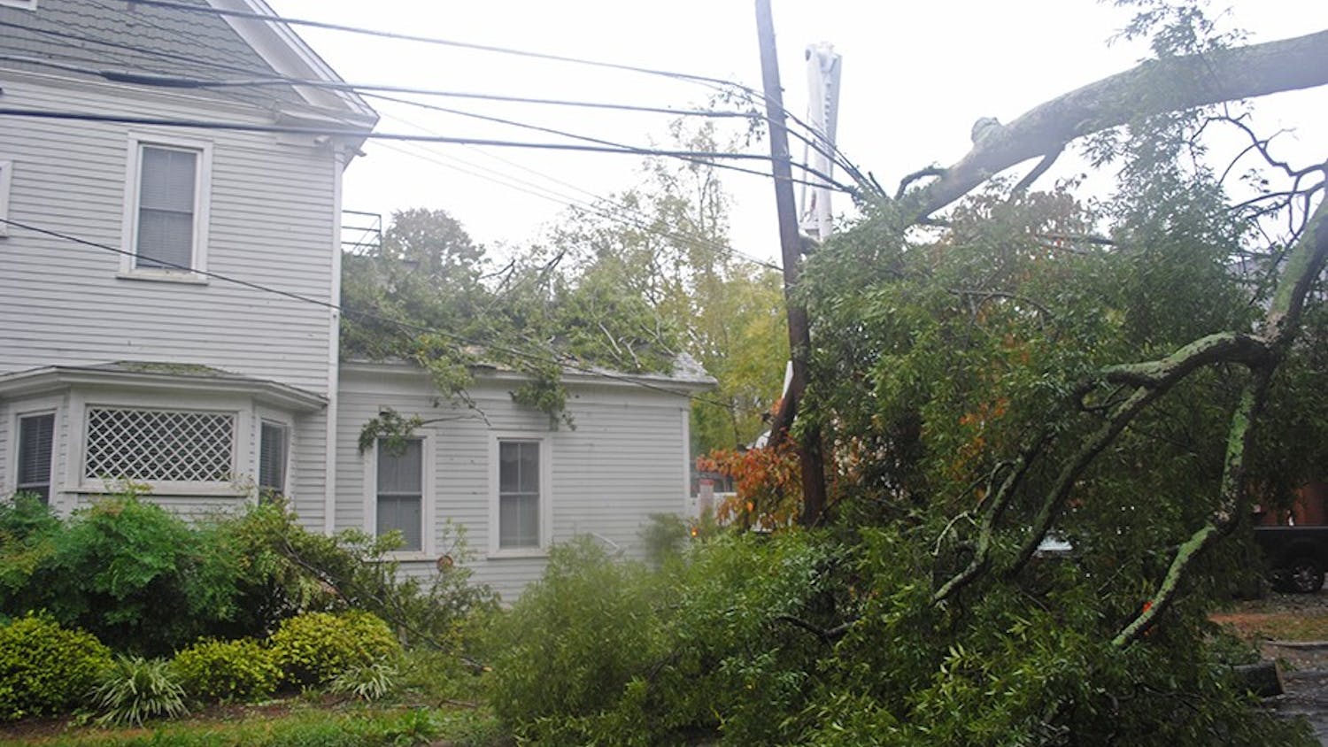 A large tree fell on the annex of the Pi Beta Phi sorority house resulting in an immediate evacuation. 