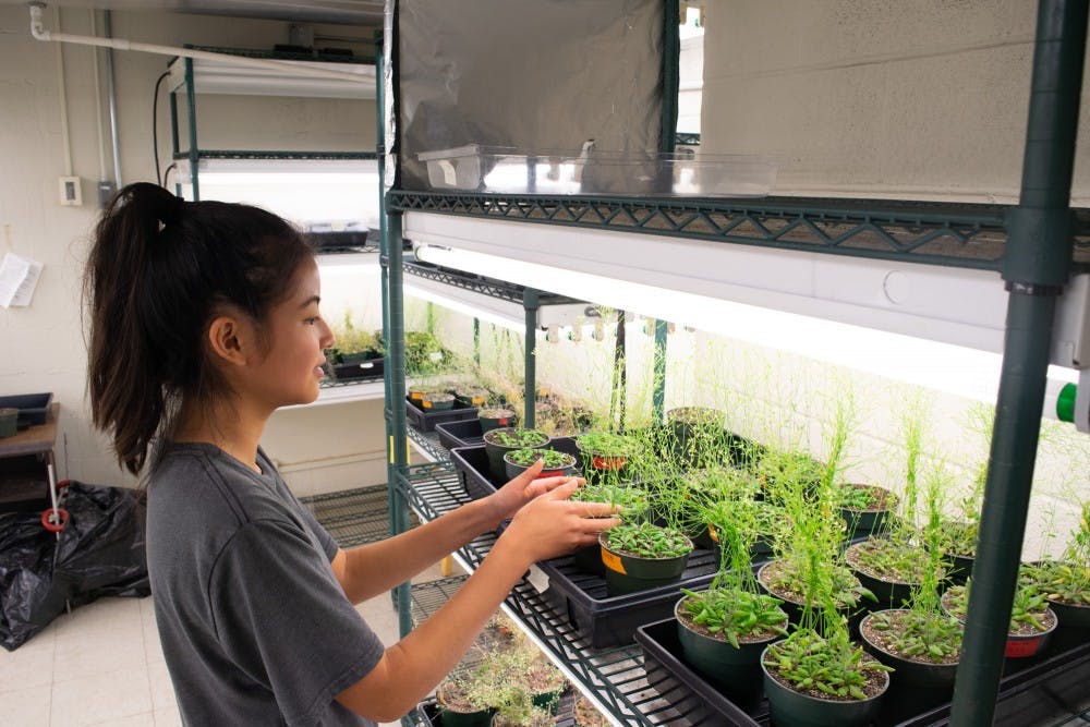 <p>Brianna Chan, a first-year environmental health major, monitors the health of the plants in Coker Hall.</p>