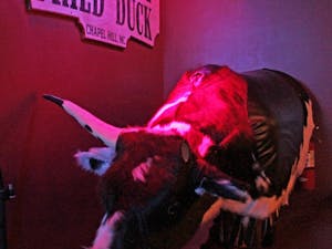 A horn was stolen off the mechanical bull in Country Fried Duck this weekend.