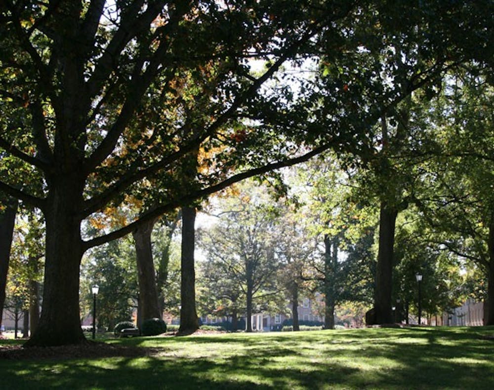Trees in McCorkle Place pose little risk, said Kirk Pelland, director of grounds services. DTH/BJ Dworak