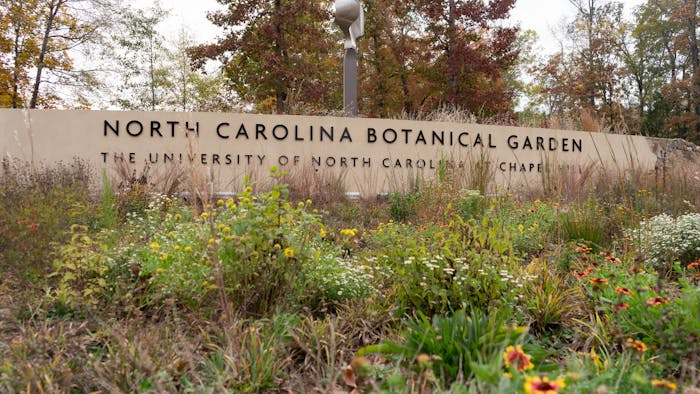 The North Carolina Botanical Garden pictured on Thursday, Oct. 27, 2022. The North Carolina Botanical Garden Foundation is helping fund the Stillhouse Bottom Nature Preserve expansion.