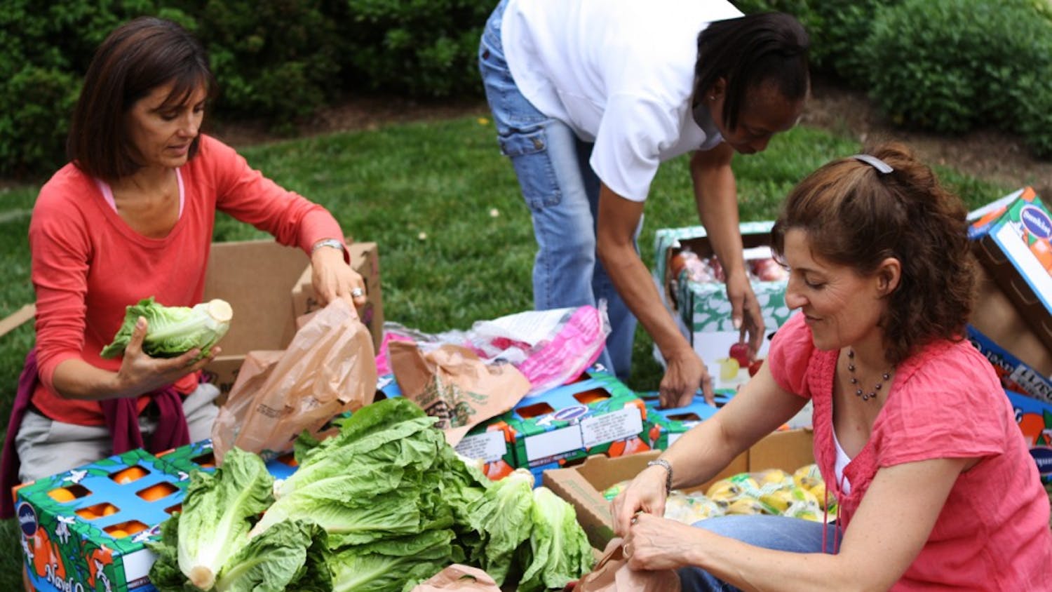 Photo: Food for Families donates goods to needy Chapel Hill-Carrboro families (Erin Hull)