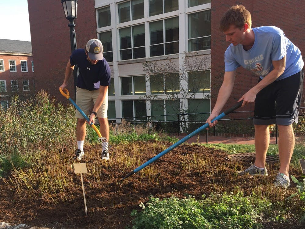 (From left)&nbsp;William Welbourne, a junior biology major and Danny Kelly, a senior history major, tend to a medicinal garden located near the Health Sciences library.
