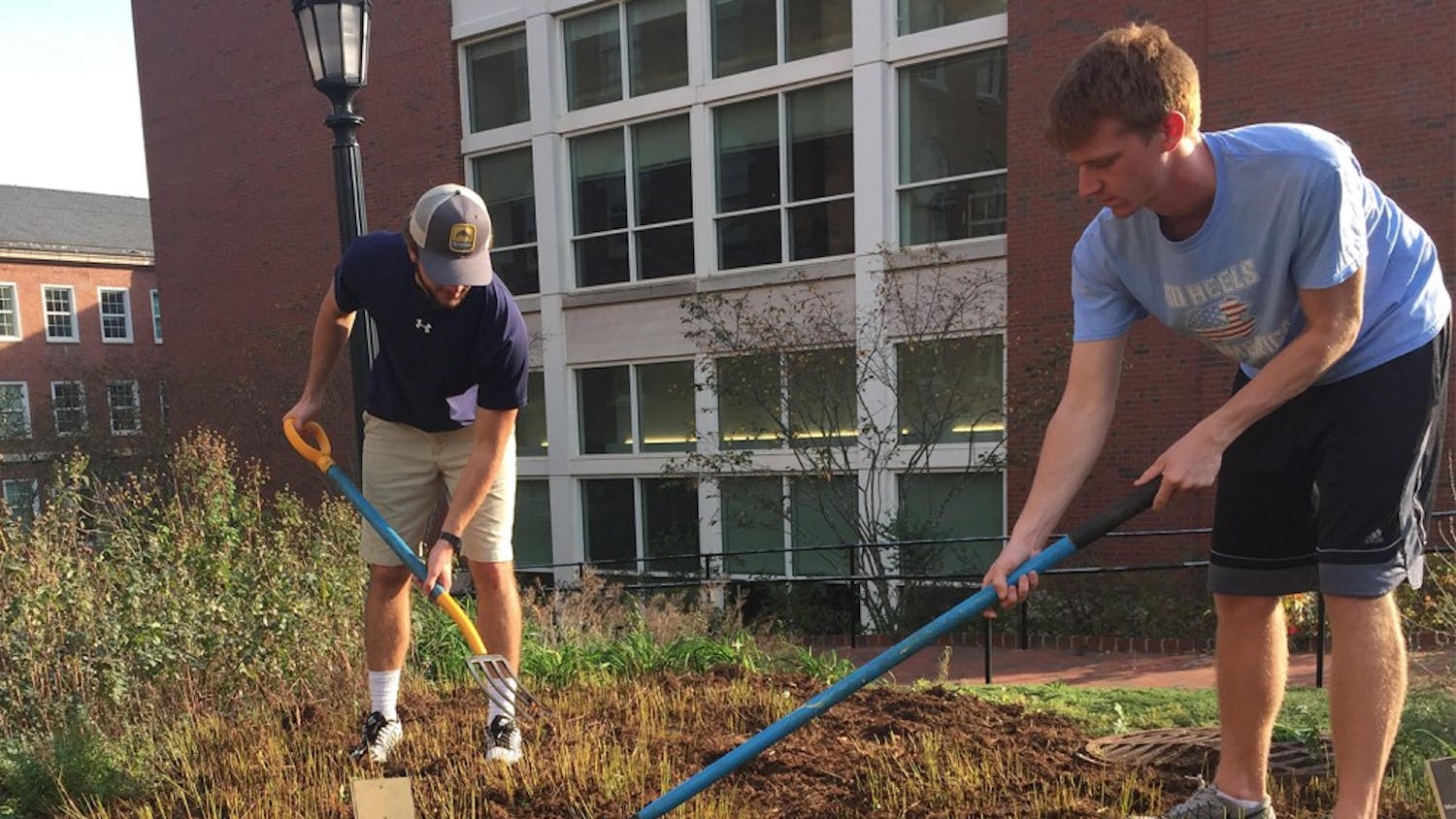 (From left)&nbsp;William Welbourne, a junior biology major and Danny Kelly, a senior history major, tend to a medicinal garden located near the Health Sciences library.