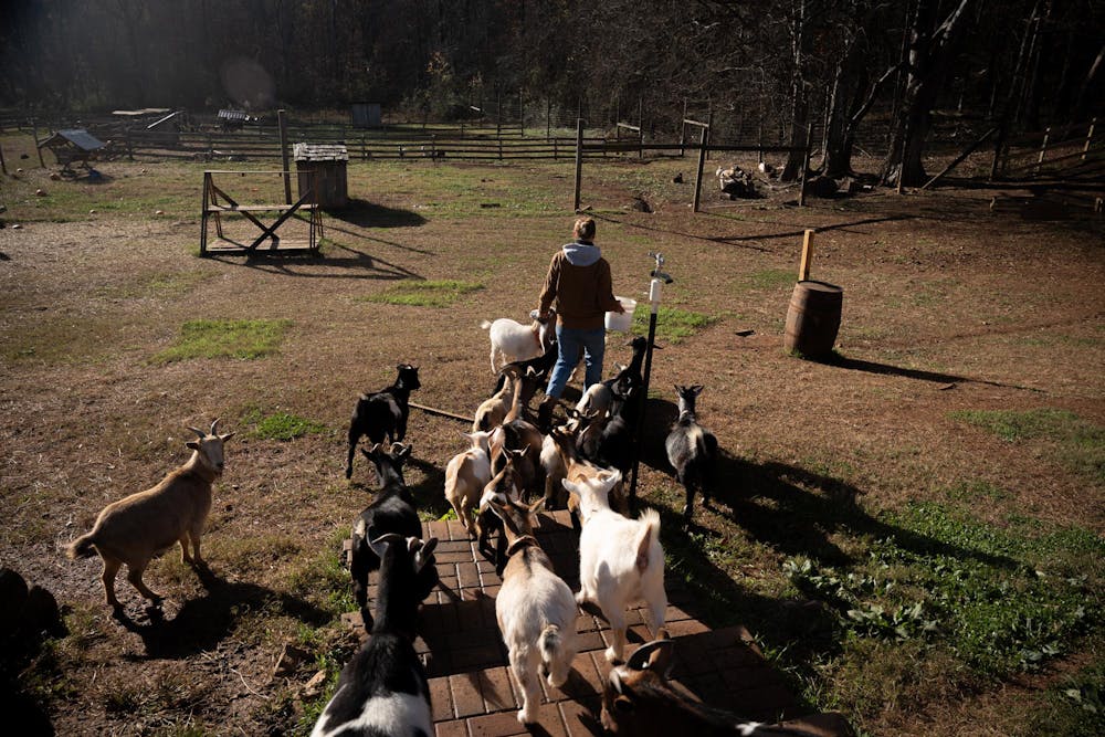 112224_Connors_lifestyle-winter-wonderland-with-goats_-1.jpg