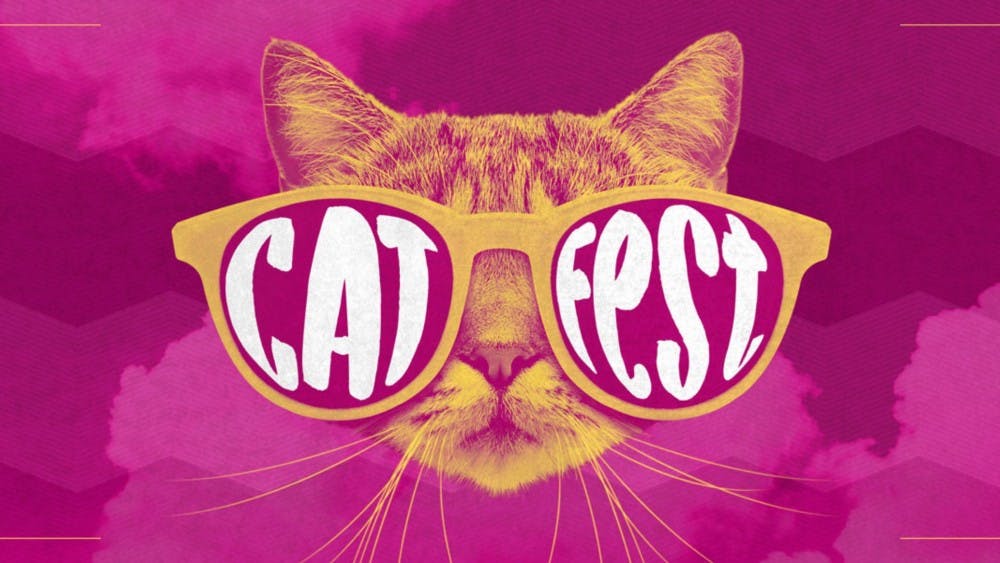 cat fest.jpg