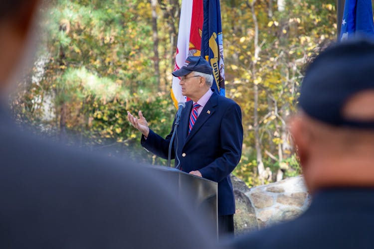 Veterans day parade branson missouri