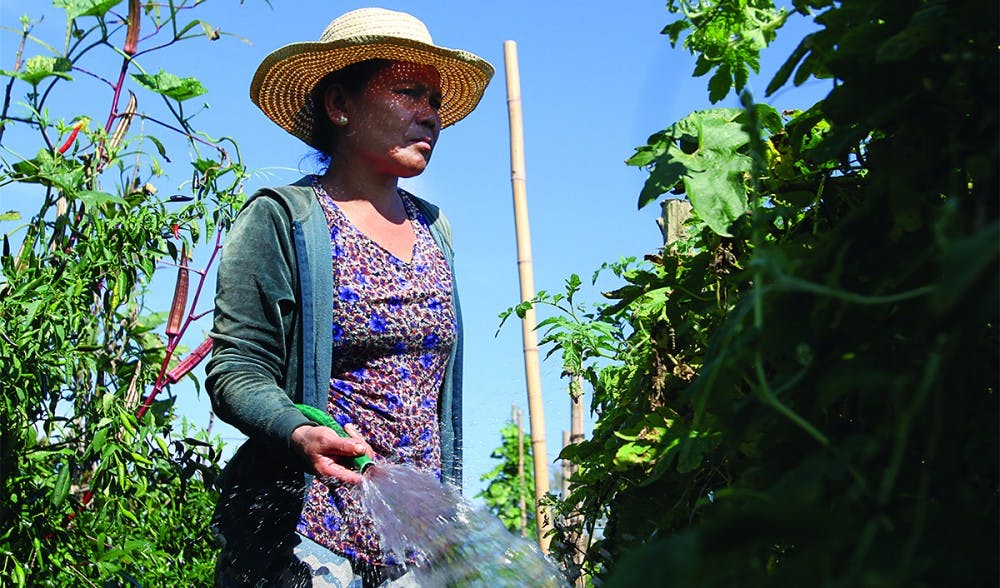 Eh Pay works at Transplanting Traditions Community Farm in Chapel Hill. The farm provides farming and entrepreneurial training to Burmese refugee farmers.