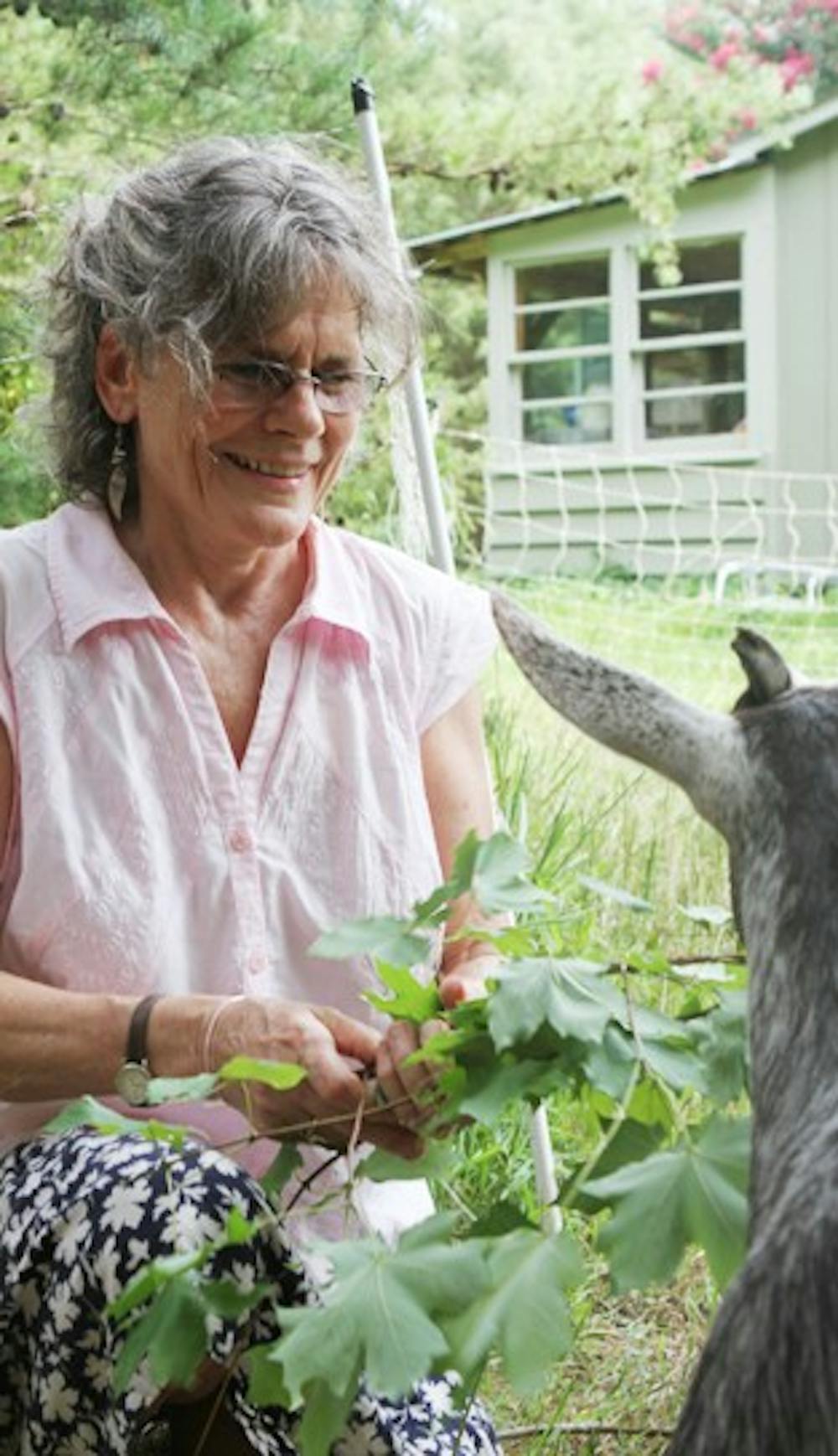 	<p>Filmmaker Barbara Trent feeds one of her goats at The Old Oak Homestead in July 2011. Trent will screen a film on campus today.</p>