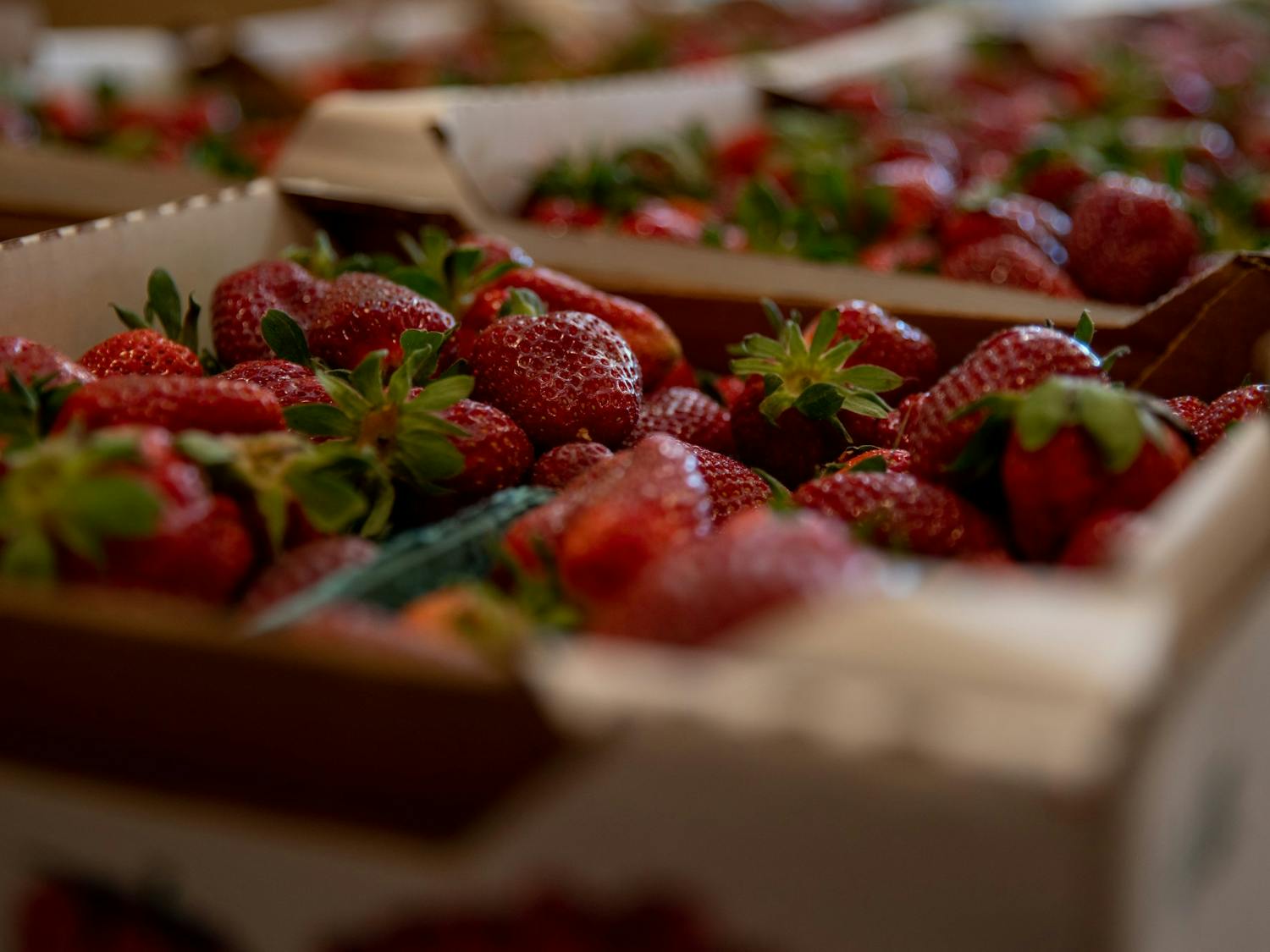Strawberries wait to be bought at Jean's Neighborhood Market in Apex. As the weather warms, berry picking in the Chapel Hill area becomes a popular activity.