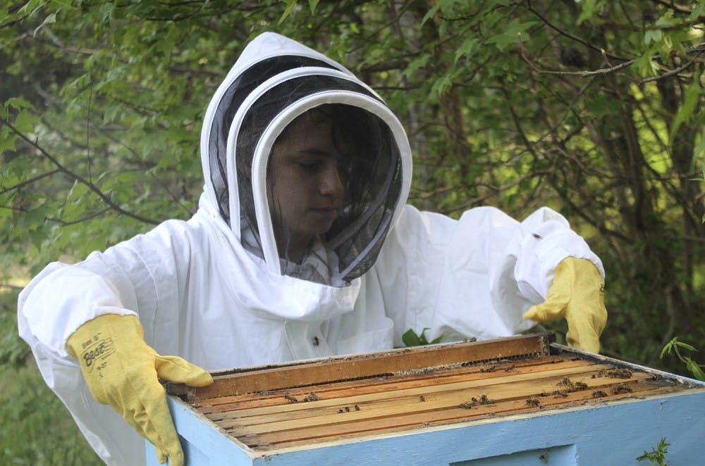 Junior Bronwyn Fadem recently started beekeeping to help protect the honeybee population.