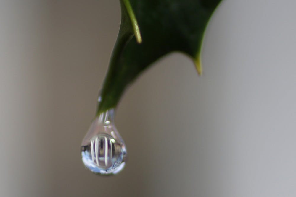 A water droplet reflects the Old Well. UNC has a new&nbsp;goal to bring net water usage down to zero.