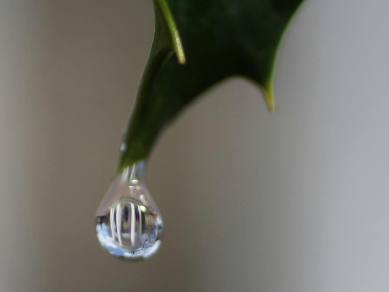 A water droplet reflects the Old Well. UNC has a new&nbsp;goal to bring net water usage down to zero.