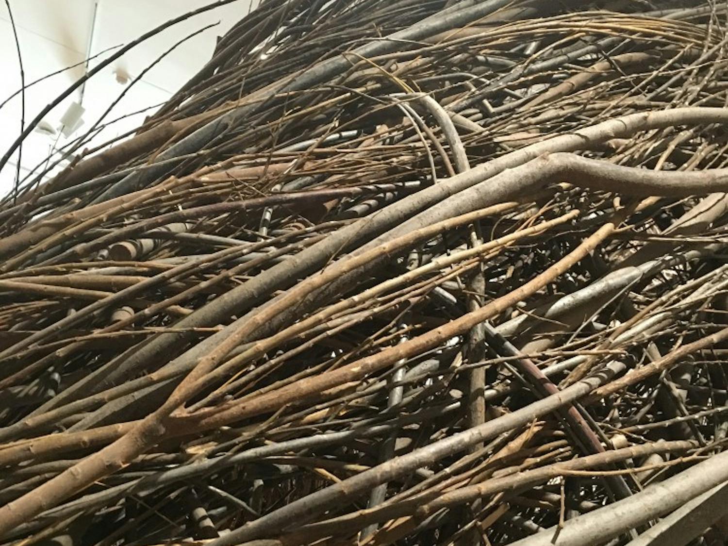 Patrick Dougherty will begin working on a sculpture made of sticks outside the Ackland.