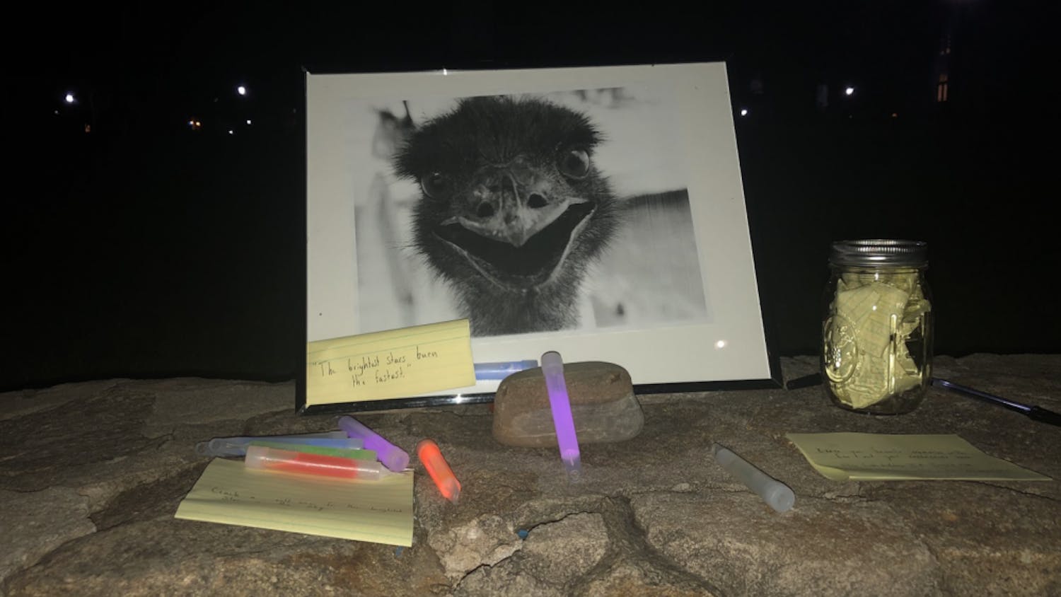 Emu Vigil 