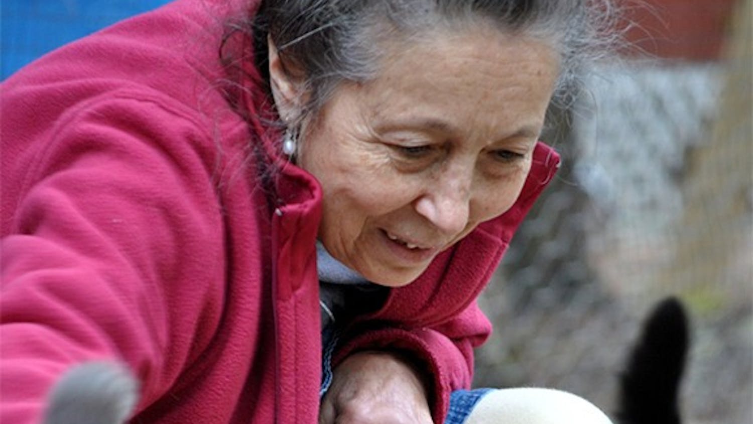 Siglinda Scarpa, founder of the Goathouse Refuge, stops to pet one of her around 200 cats.