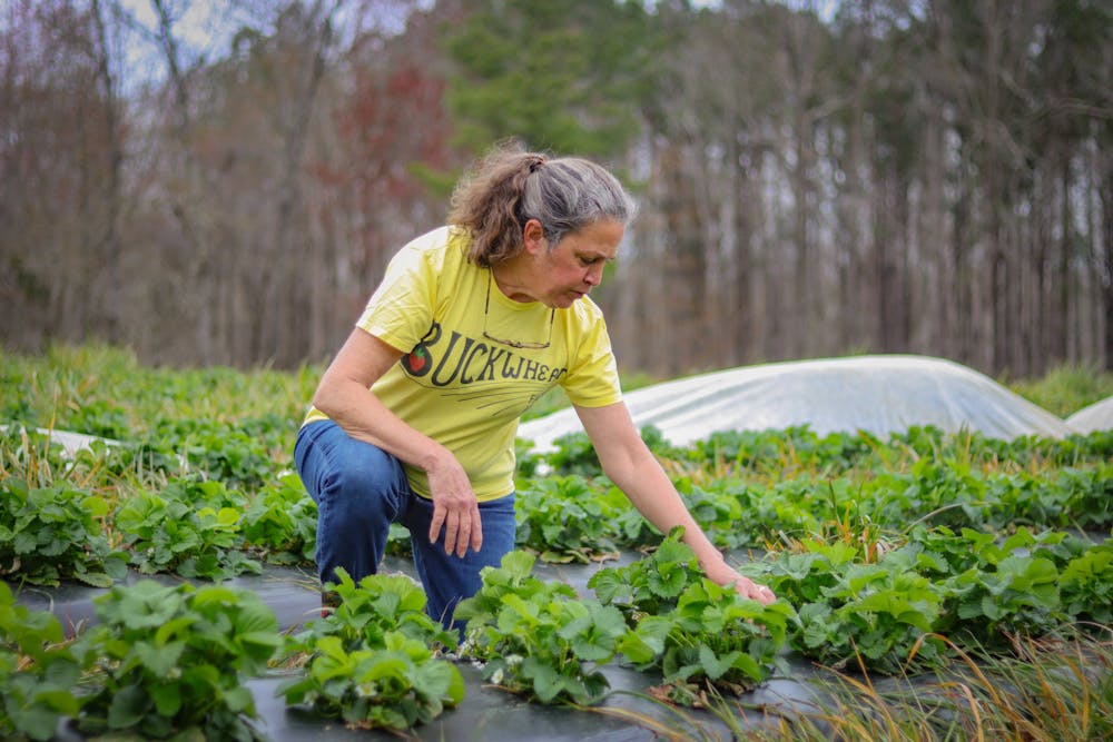 Karma Lee is the owner of Buckwheat Farms which has been open in Apex for 23 years. "Last year when the pandemic hit, we weren't even sure we were going to be able to be open for business, but when we found out we were, we knew we had to make a lot of changes," said Lee.