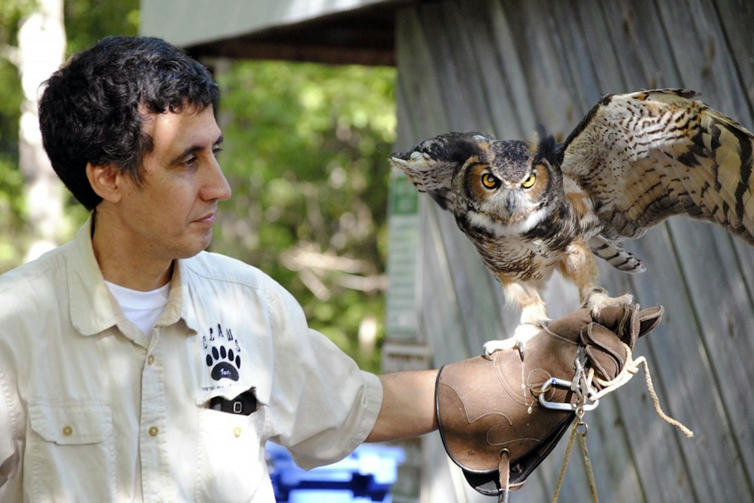 Vinny Mammone, treasurer for Claws Inc., holds one of the organization's permanent residents Khalitra, a great horned owl who is blind in one eye.
