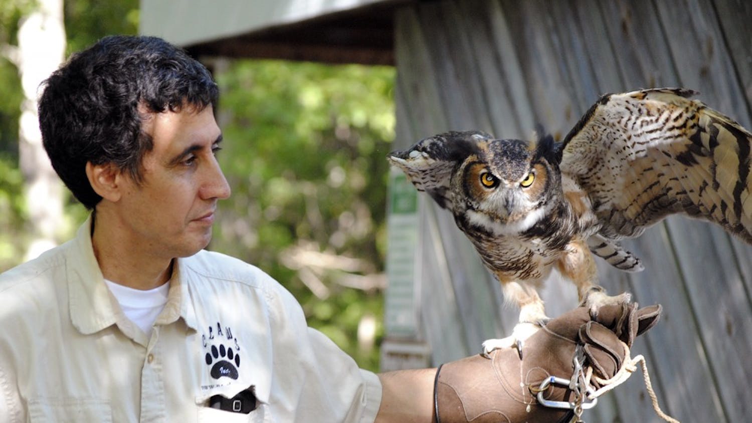 Vinny Mammone, treasurer for Claws Inc., holds one of the organization's permanent residents Khalitra, a great horned owl who is blind in one eye.