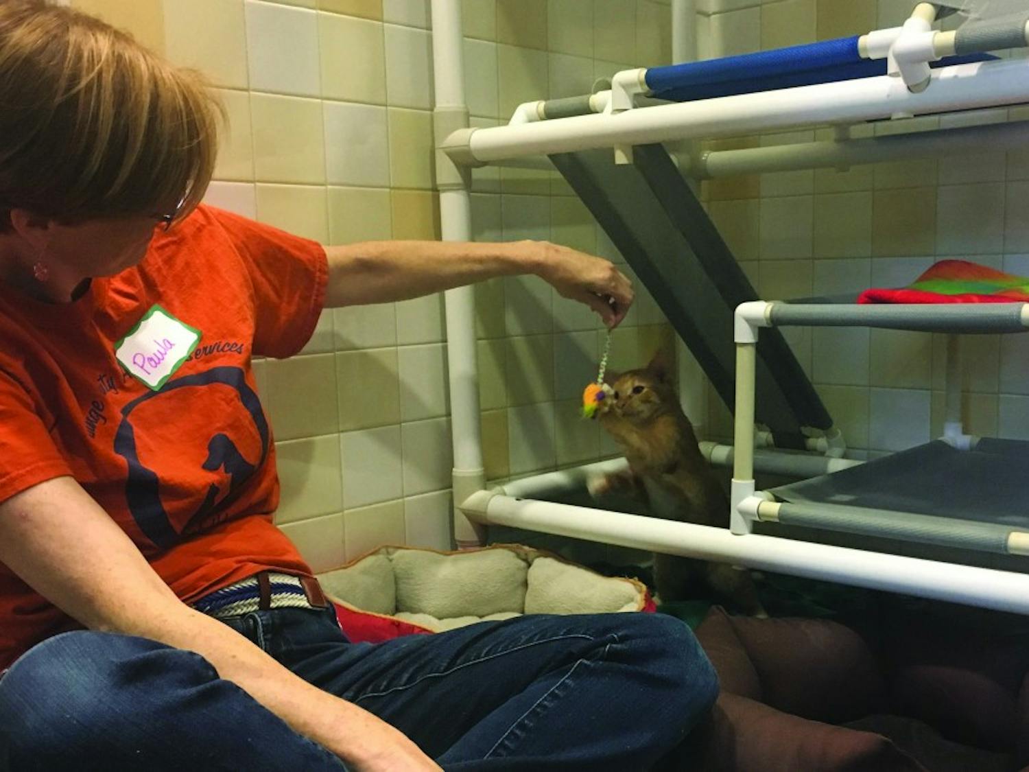 Paula Greeno, a volunteer at the Orange County Animal Shelter, entertains a kitten on Tuesday afternoon. &nbsp;&nbsp;