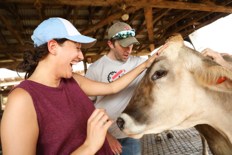 dairylandcastatfarm.png The Daily Tar Heel