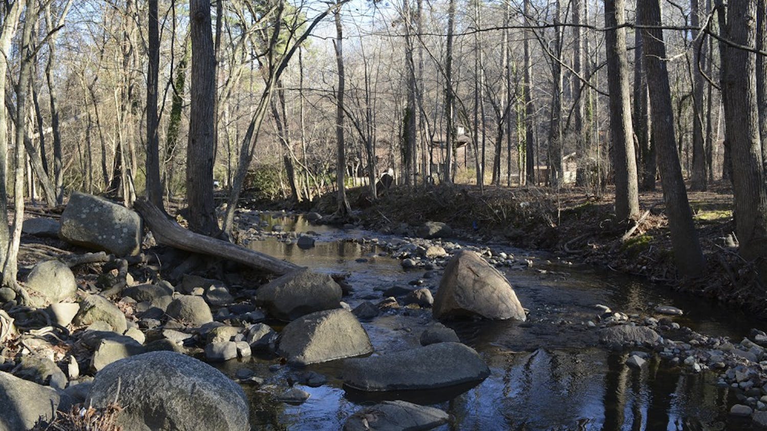 Bolin Creek weaves alongside the trails, with neighborhood homes visible in the background. 