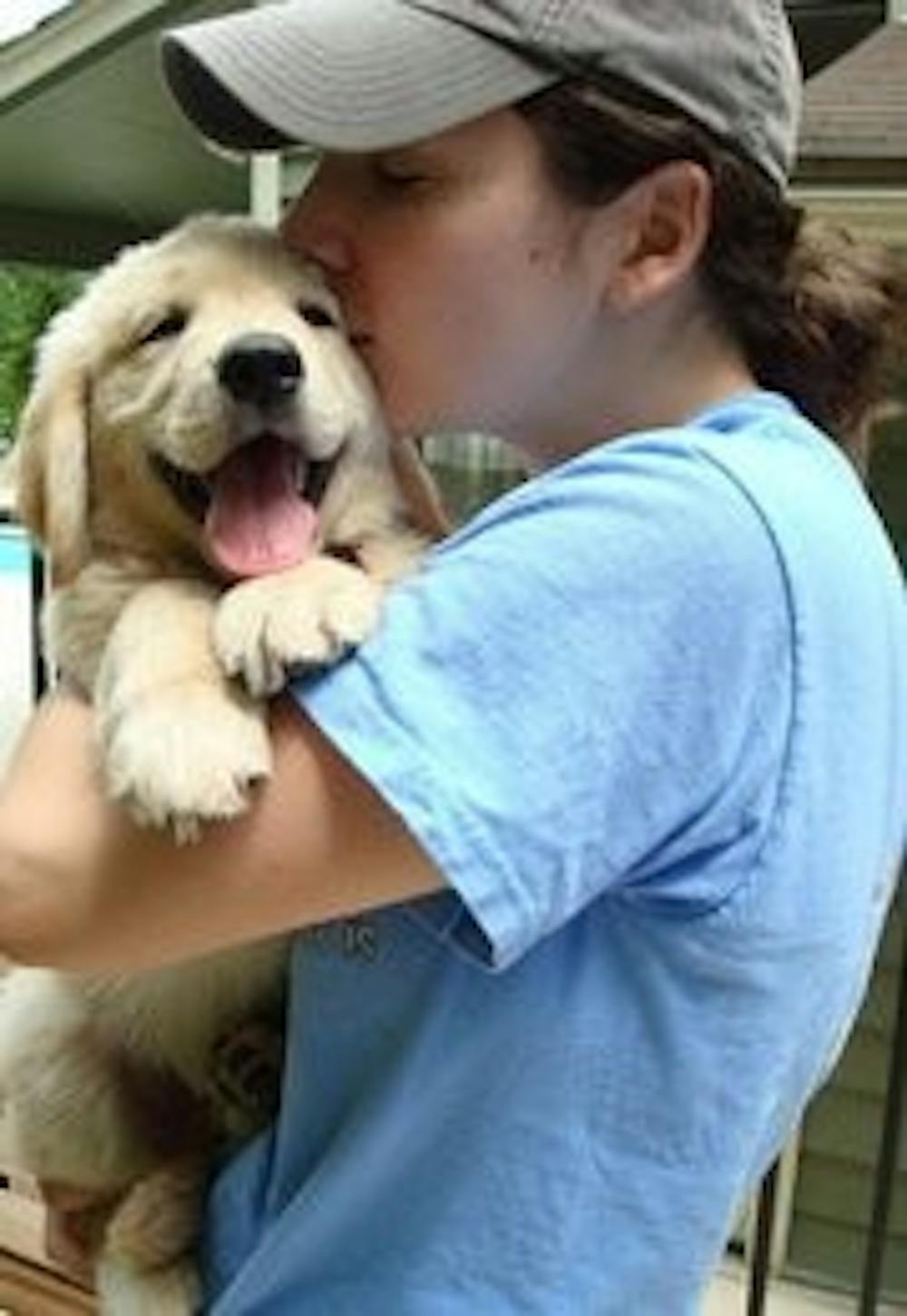 	<p>Courtesy of Erin Edwards</p>

	<p>Erin Edwards, J.D. &#8217;11, holds her golden retriever Duncan. Edwards is a puppy parent for Eyes Ears Nose and Paws in Carrboro, an organization that trains and assigns service dogs for diabetic and physically-disabled owners.</p>