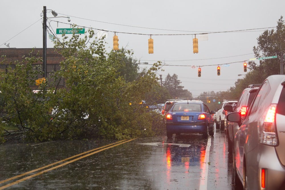 <p>A tree fell down on Franklin and Columbia Street causing traffic problems on Thursday afternoon during Hurricane Michael.&nbsp;</p>