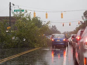 A tree fell down on Franklin and Columbia Street causing traffic problems on Thursday afternoon during Hurricane Michael.&nbsp;