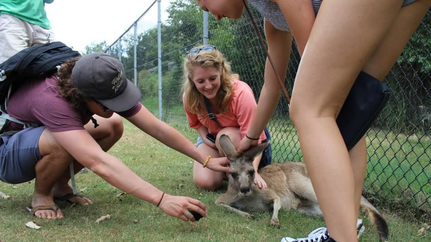 Callie pets a kangaroo while studying abroad in Australia. Photo courtesy of Callie Riek.&nbsp;