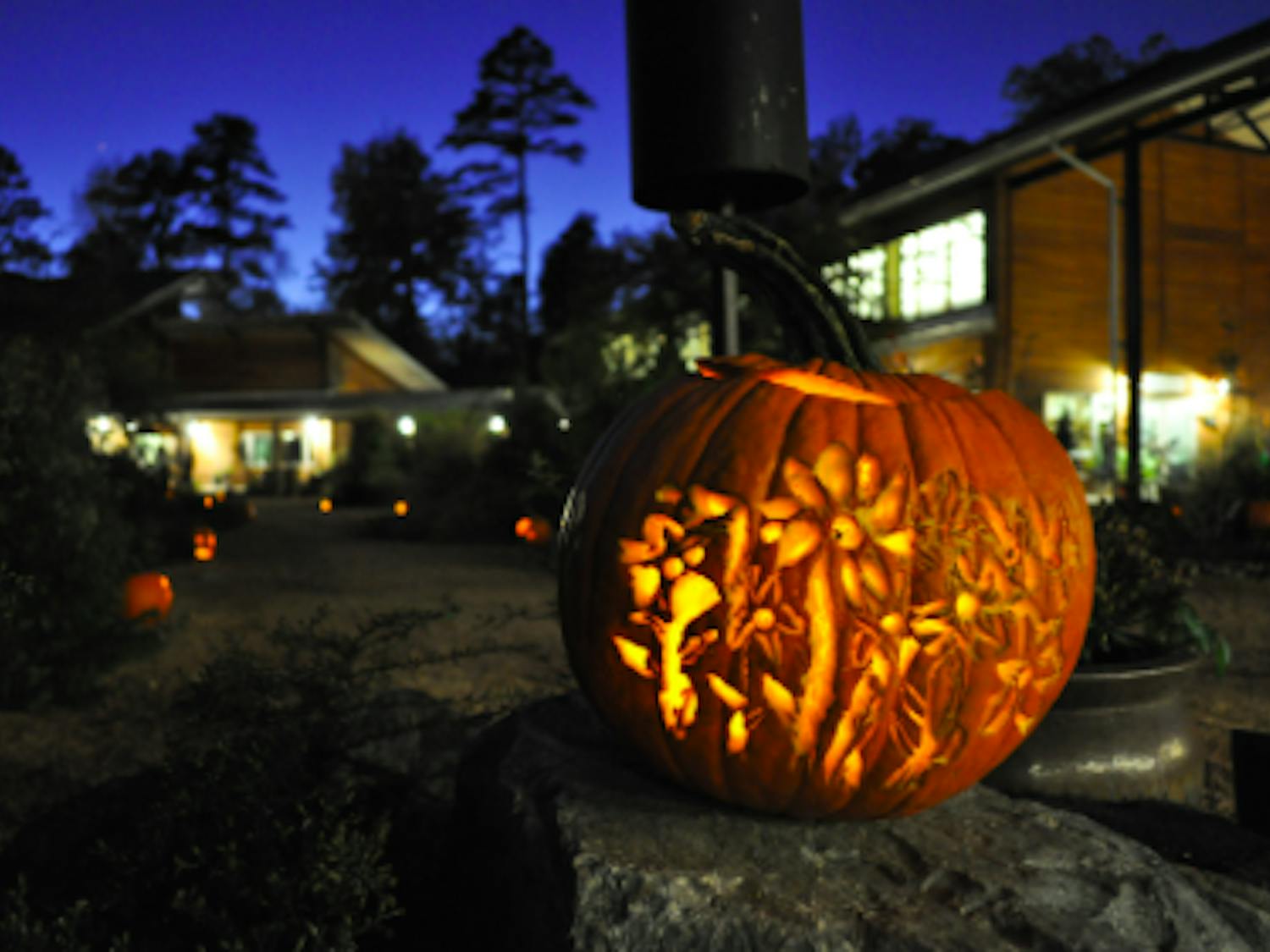 One of the many pumpkins placed along the paths in during the BOOtanical in 2017. Photo courtesy of North Carolina Botanical Garden.