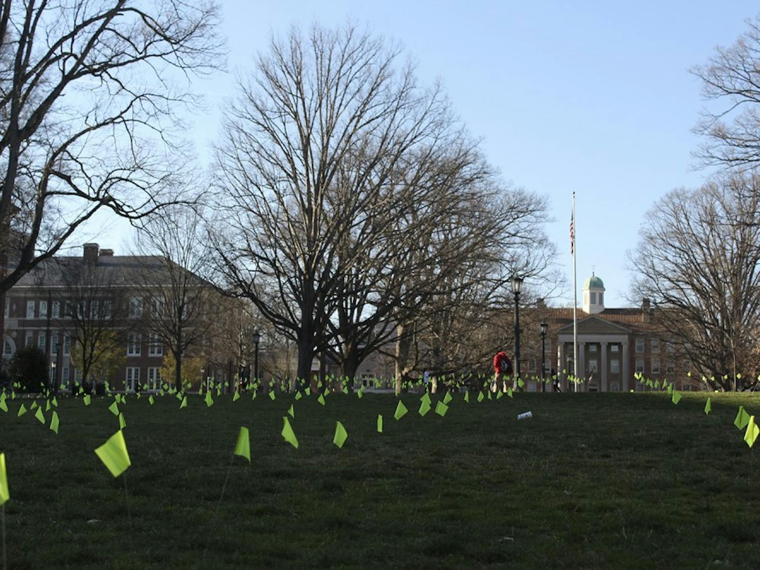 Flags were placed in the quad for mental health awareness this weekend.