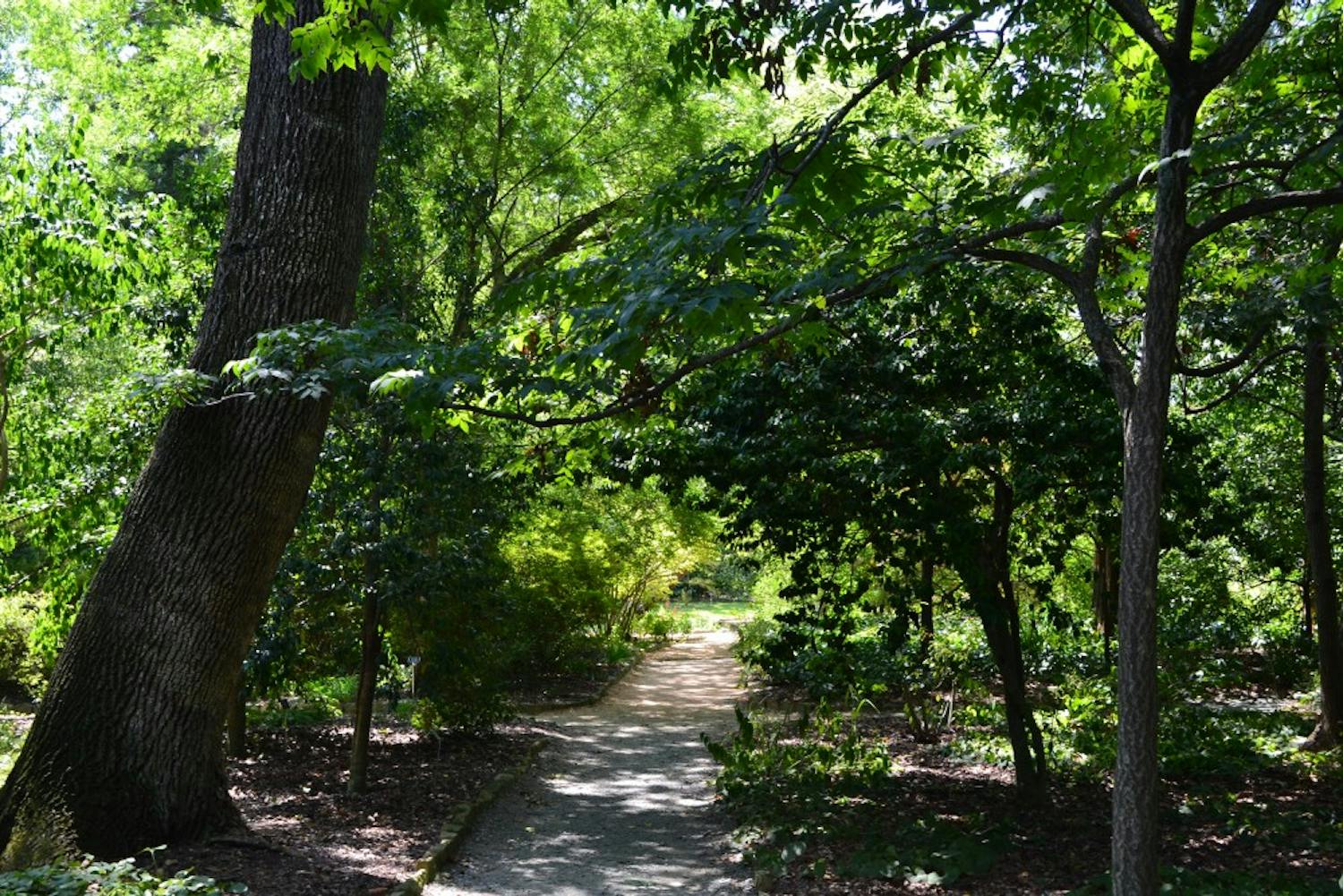 	Try venturing into Coker Arboretum for some rest and relaxation.