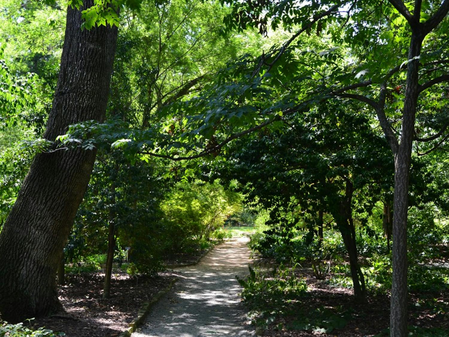 	Try venturing into Coker Arboretum for some rest and relaxation.
